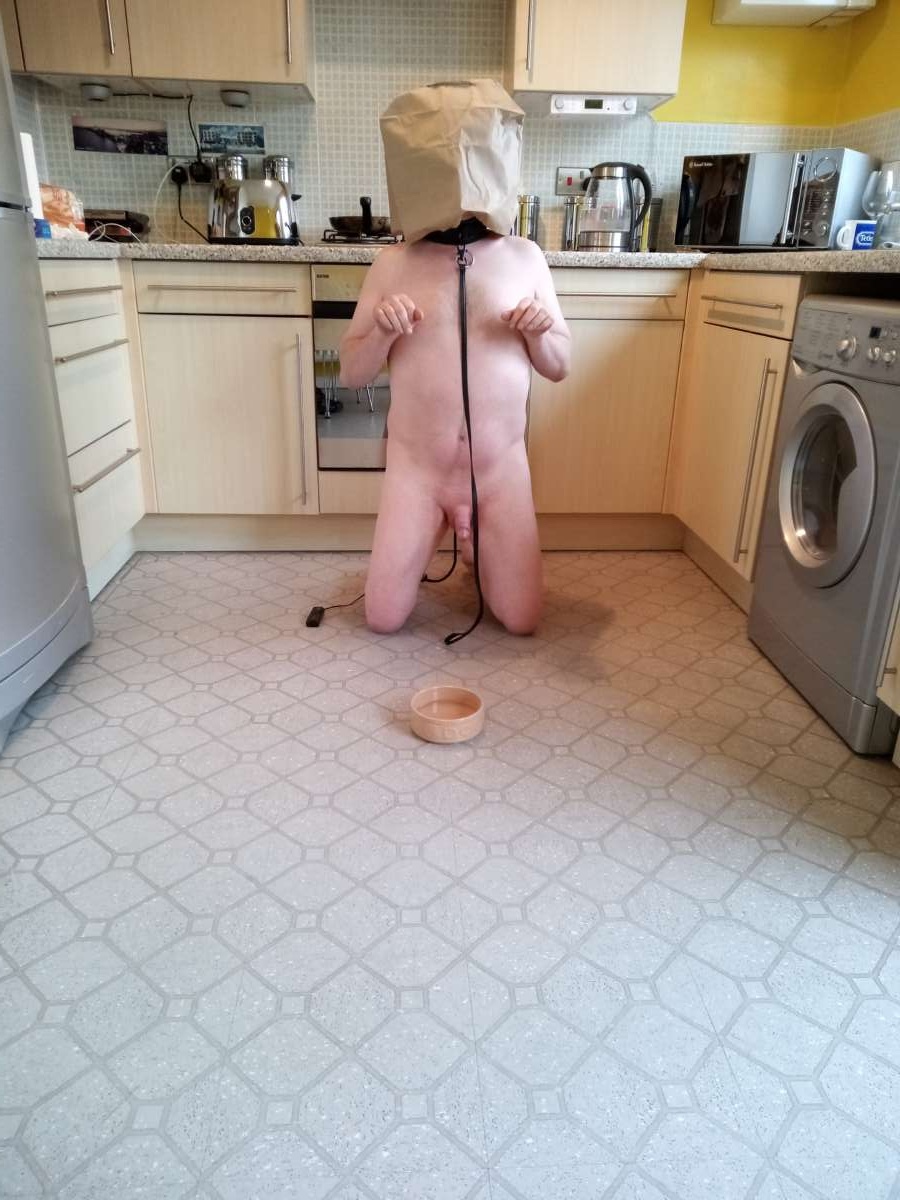 Sissy Jade Undergoing Dog Training