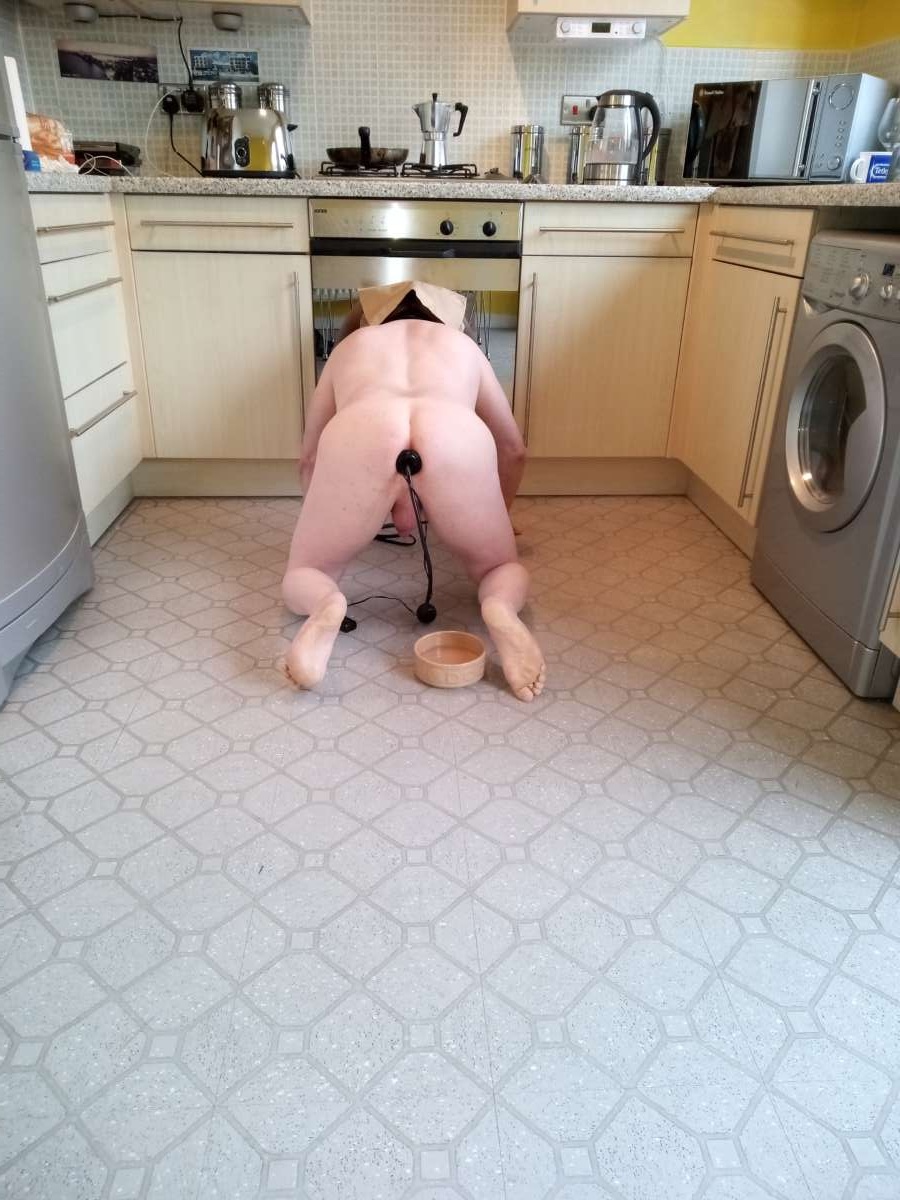 Sissy Jade Undergoing Dog Training